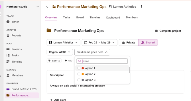 adding value for a custom field in a project
